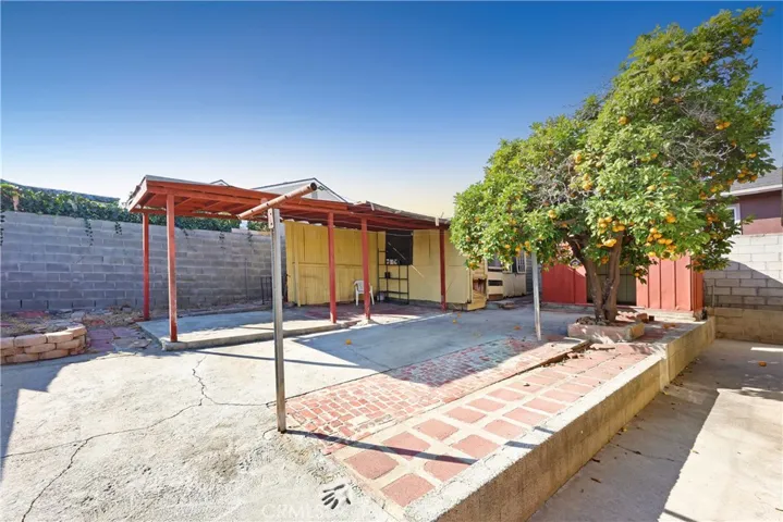 Backyard 3