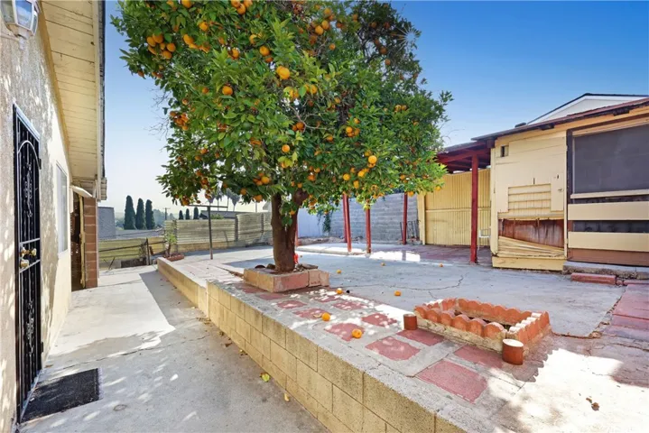 Backyard 1
