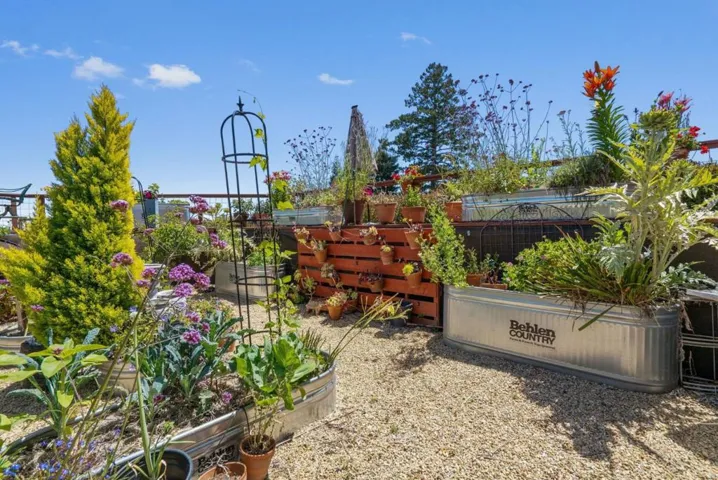 200 Mcamant Drive, Santa Cruz, California 95060