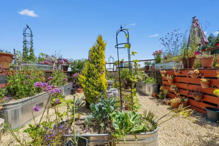 200 Mcamant Drive, Santa Cruz, California 95060