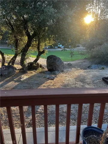 Backyard Sunrise
