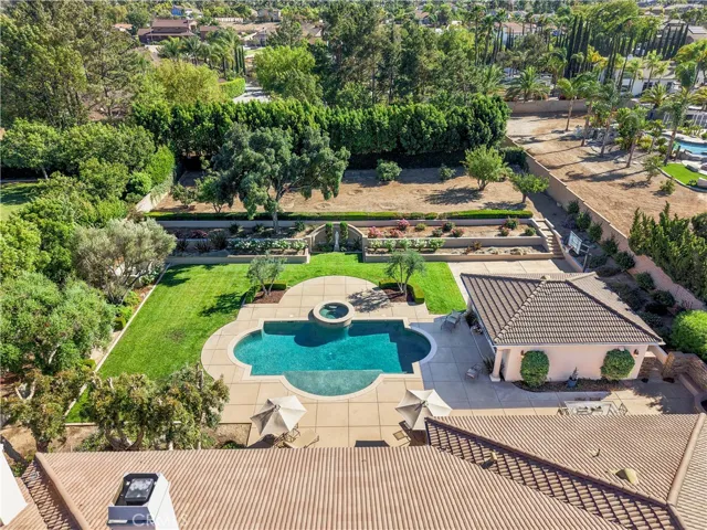 Sneak peak of backyard