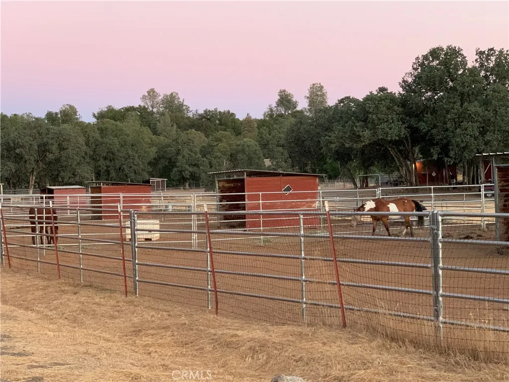 HVL Stables