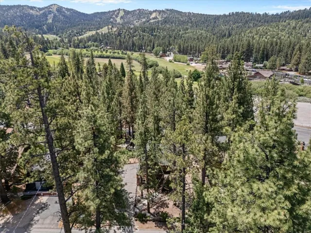 42929 Encino, Big Bear Lake, California 92315