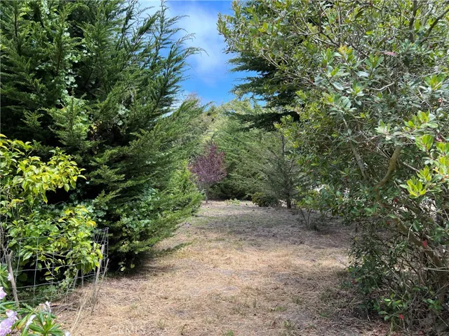 0 Burton Drive, Cambria, California 93428