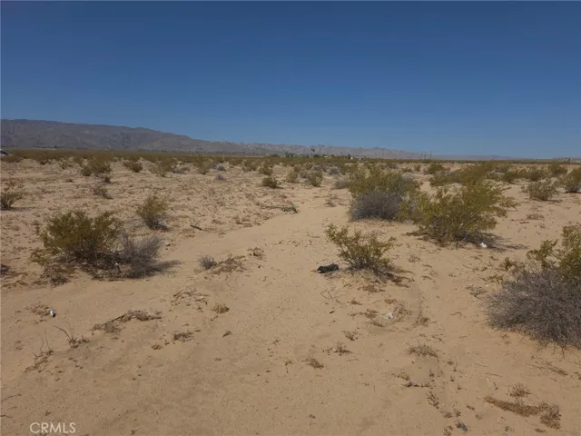 0 Datura, 29 Palms, California 92277