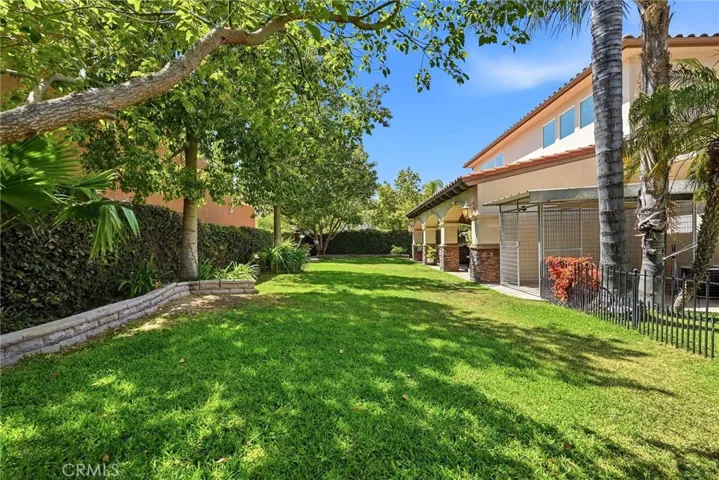 Backyard view 2