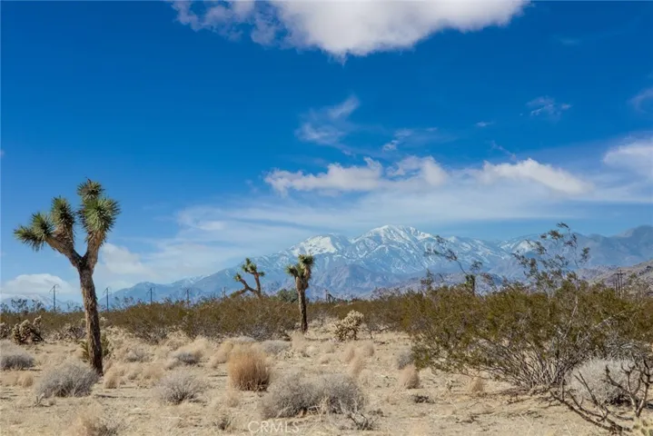 2222 Valley Vista, Johnson Valley, California 92285