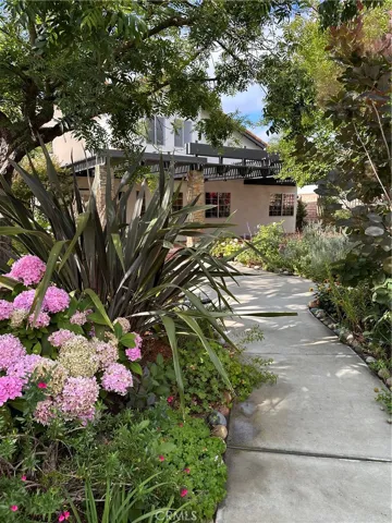 Discover the beauty and joy waiting in your own backyard!