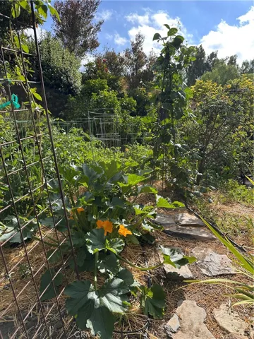 A garden is essential for everyone to appreciate its wonders.
