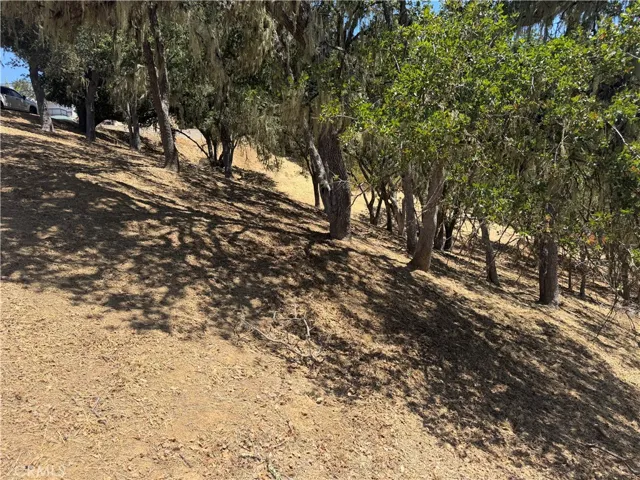 2174 Ridge Rider, Bradley, California 93426 — photo 4