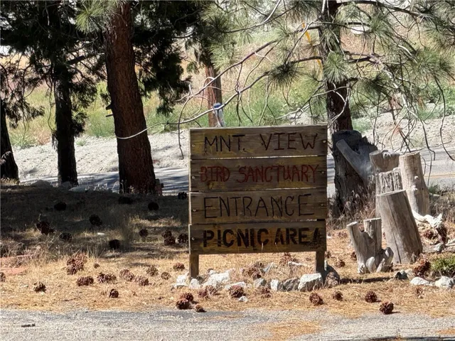 1098 State Highway 2, Wrightwood, California 92397