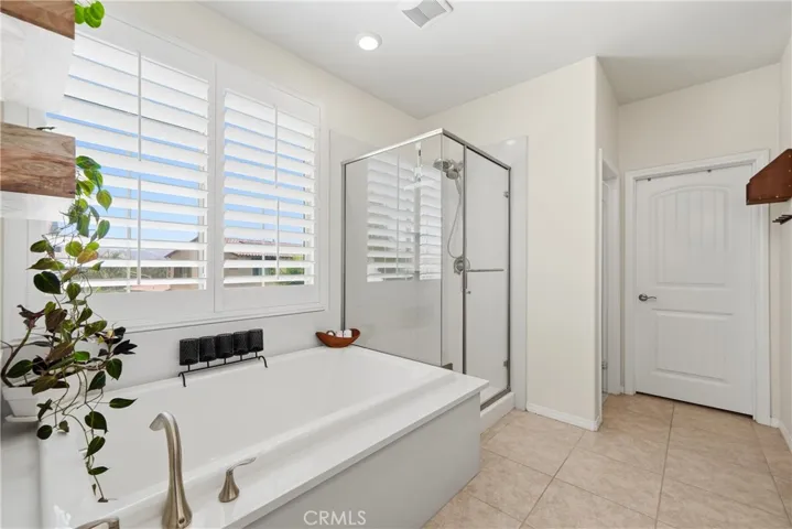 Primary bathroom shower/soaking tub.