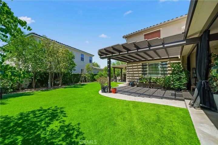 Backyard, fruit trees and turf.