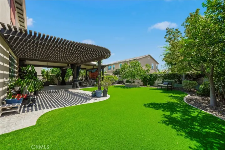 Low maintenance backyard/turf.