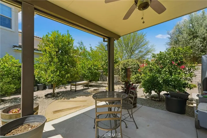 3rd patio area in backyard. Fruit Trees.