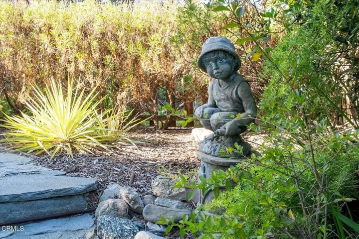 33-Back Yard