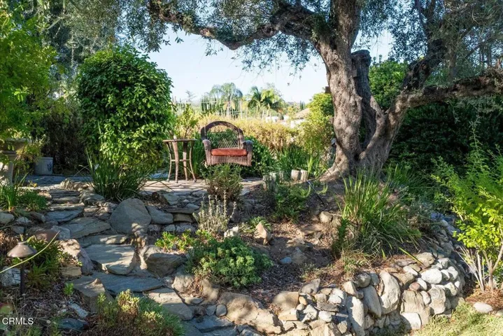 32-Back Yard
