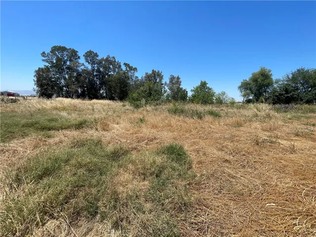 2547 Venice Avenue, Williams, California 95987