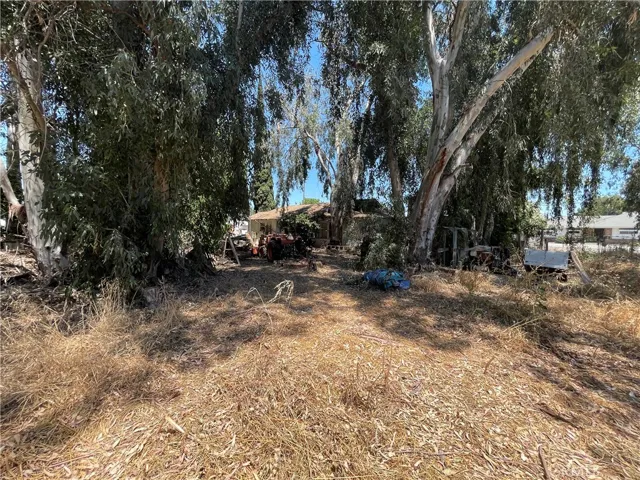 2547 Venice Avenue, Williams, California 95987