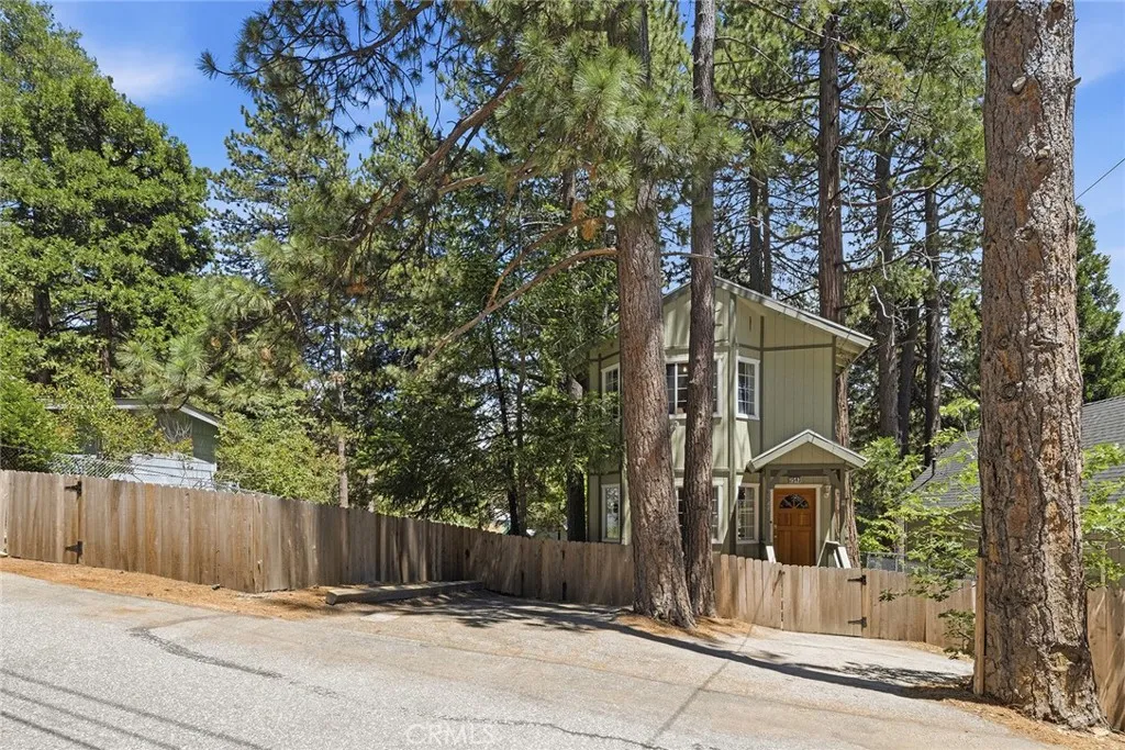 Large Double Lot