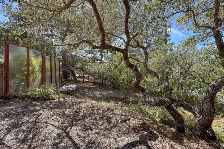 The property extends just beyond the existing wire fence