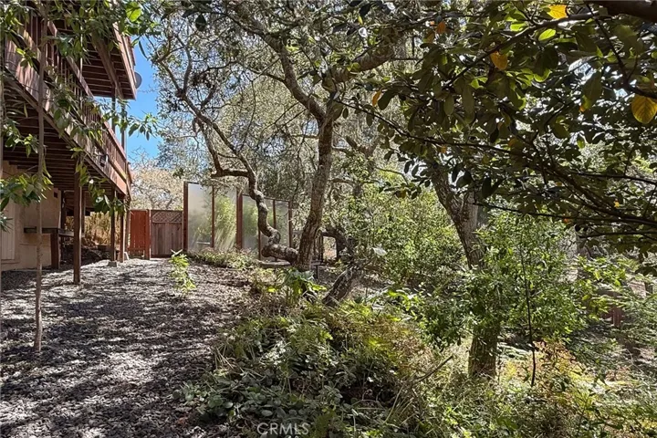 Wooded area beyond the patio provides a peaceful extension of the fenced yard