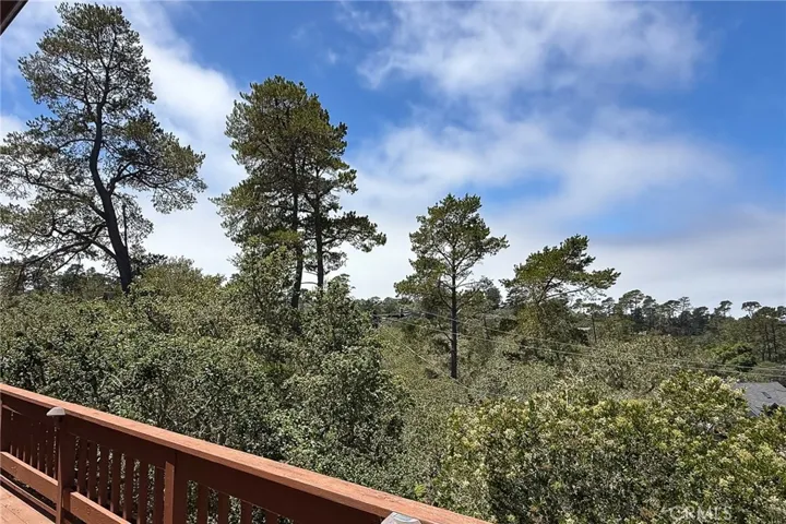 From the deck, you'll feel as though you're high above it all—surrounded by towering trees and immersed in the peaceful beauty of the woodland setting