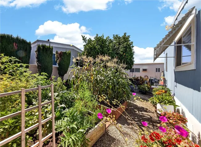 Beautiful fresh veggie and herb garden.