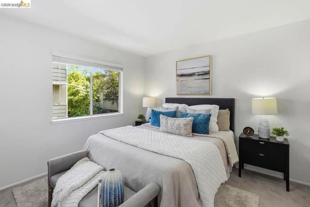 Carpeted bedroom featuring a large window, white walls, and a soft gray upholstered bed frame