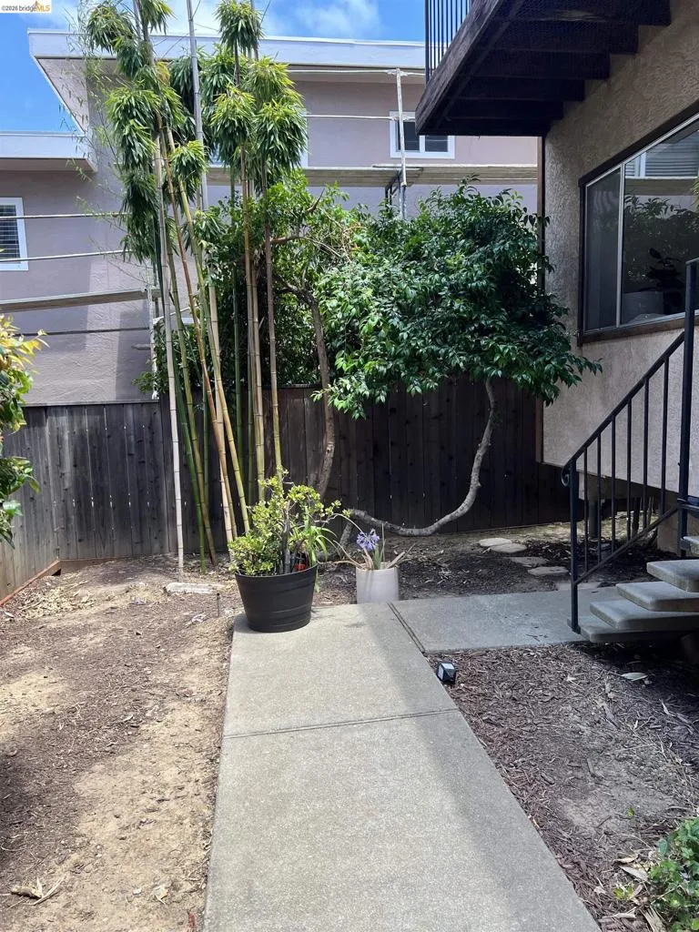 Private outdoor space featuring mature bamboo and varied plantings