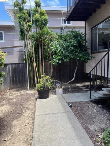 Private outdoor space featuring mature bamboo and varied plantings