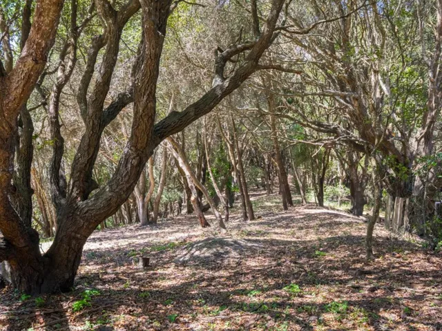925 Old Farm Lane, Aptos, California 95003