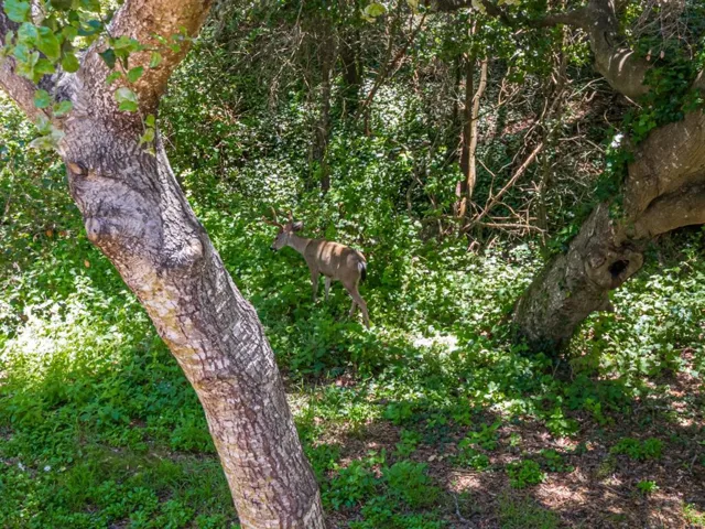 925 Old Farm Lane, Aptos, California 95003