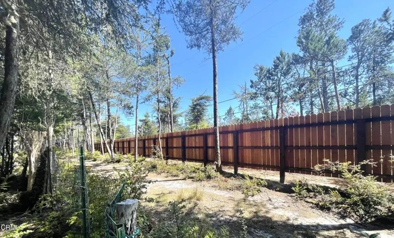 New Backyard Fence