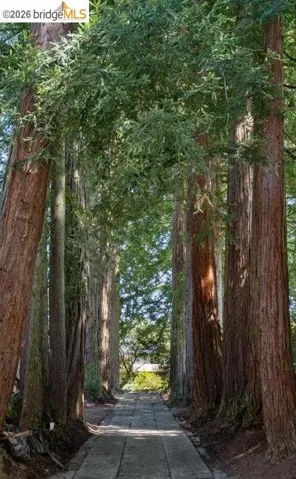 100 Avenida Drive, Berkeley, California 94708-2125