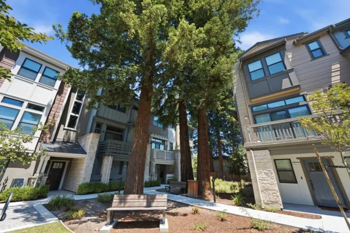 316 Scarlett Terrace, Mountain View, California 94043