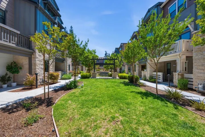 316 Scarlett Terrace, Mountain View, California 94043
