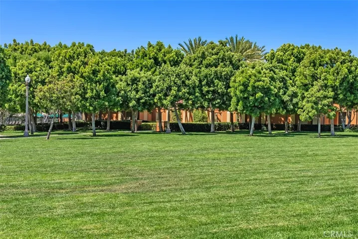 Park across the street