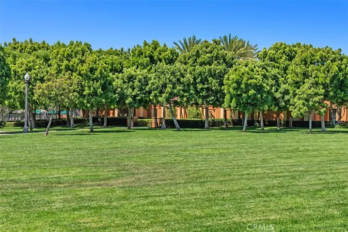 Park across the street