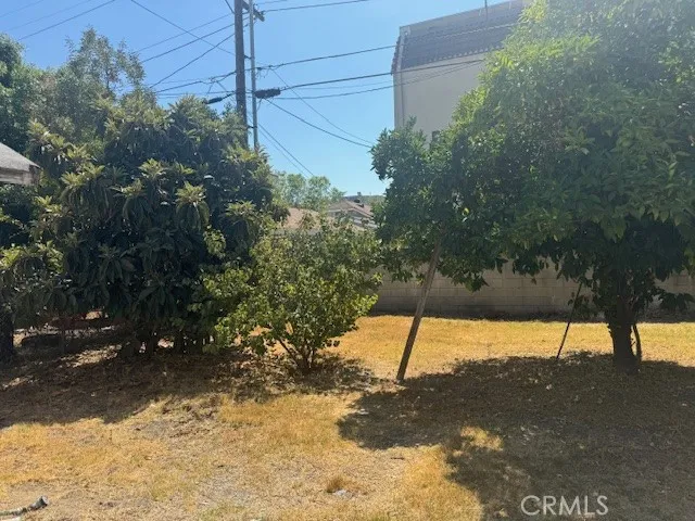 back yard