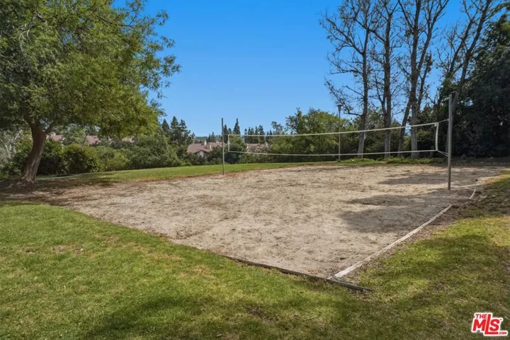 Volleyball