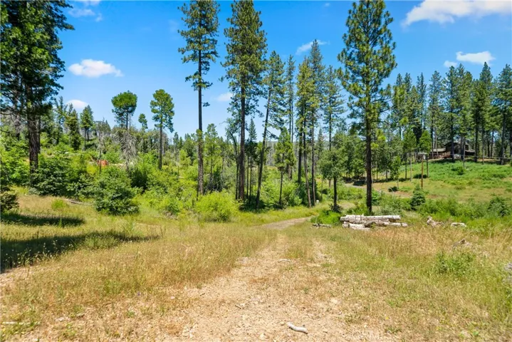 13159 Mullen Way, Oroville, California 95965