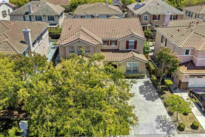 37160 Aleppo Dr, Newark, California 94560