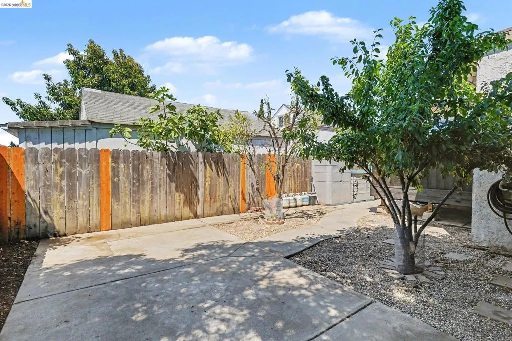 Outdoor space featuring a mature deciduous tree, concrete pathways, and a wood privacy fence