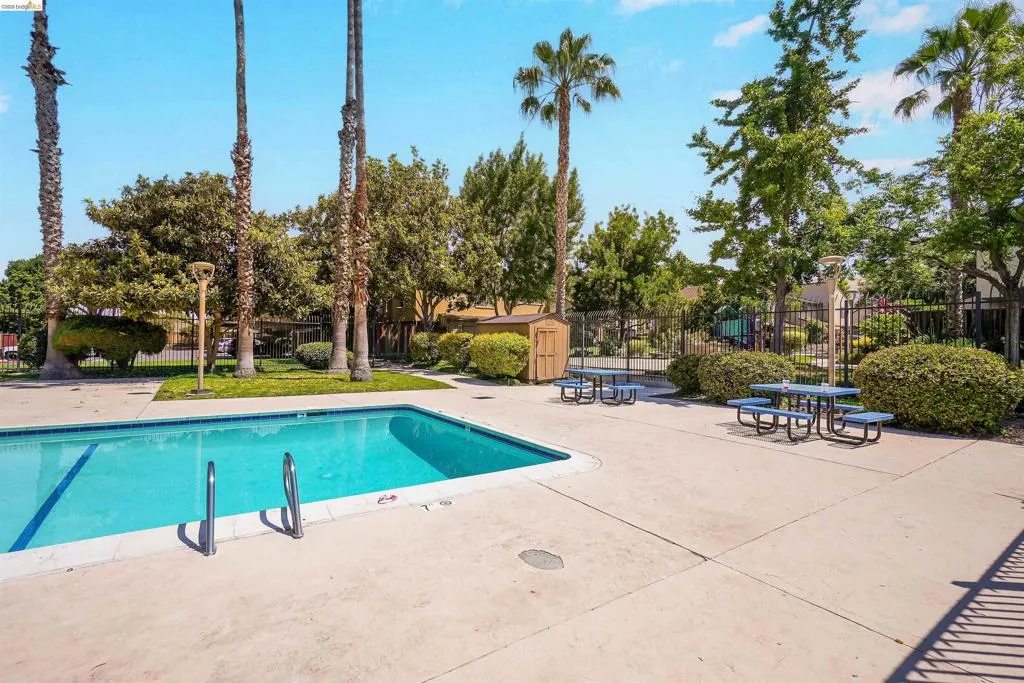 Swimming pool with concrete decking, surrounded by mature palm trees and lush landscaping, featuring a black metal fence and picnic tables