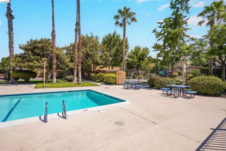 Swimming pool with concrete decking, surrounded by mature palm trees and lush landscaping, featuring a black metal fence and picnic tables