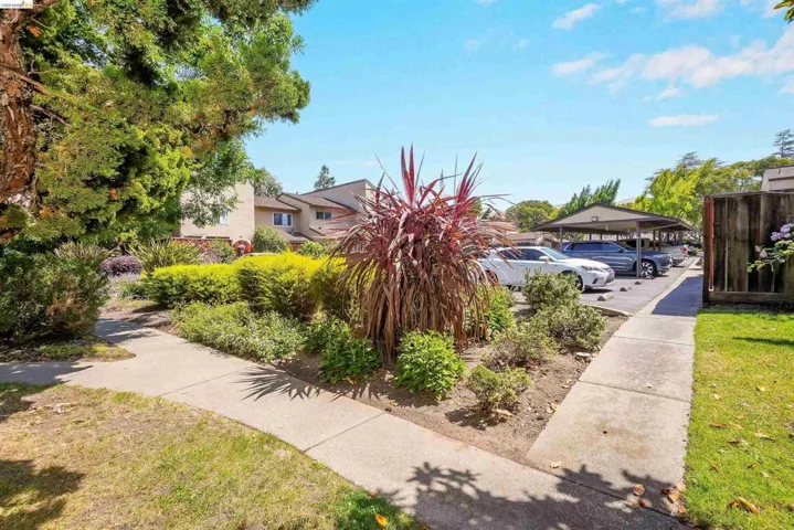 Landscaped grounds with a concrete walkway, established shrubs, and various plantings