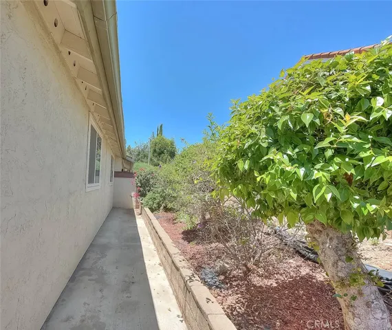 Backyard Side View