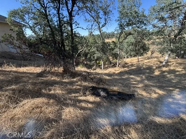 19932 Freshwater Drive, Cottonwood, California 96022